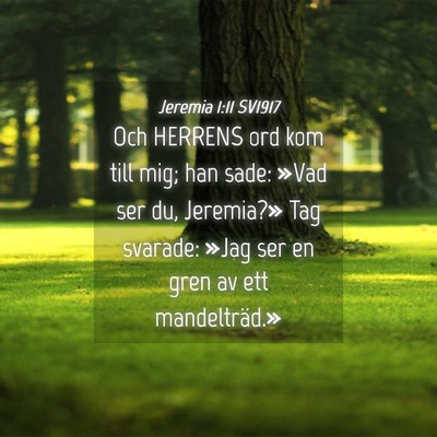 Picture 04 - Jeremia 1:11 SV1917 - Och HERRENS ord kom till mig; han sade: »Vad ser - Bible Verse Picture