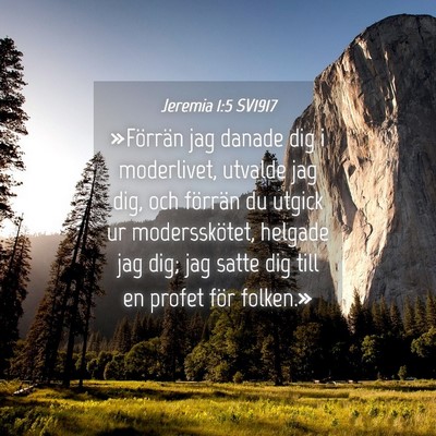 Picture 04 - Jeremia 1:5 SV1917 - »Förrän jag danade dig i moderlivet, utvalde - Bible Verse Picture