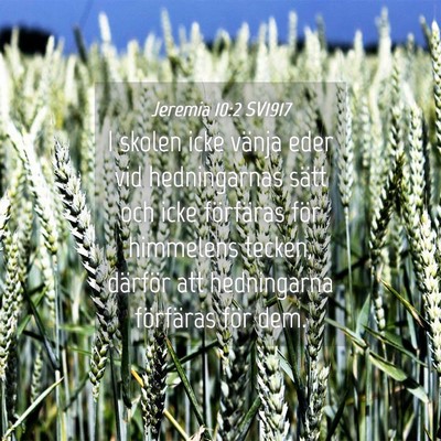 Picture 04 - Jeremia 10:2 SV1917 - I skolen icke vänja eder vid hedningarnas sätt - Bible Verse Picture