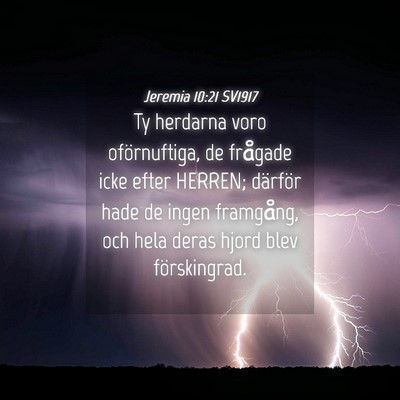 Picture 04 - Jeremia 10:21 SV1917 - Ty herdarna voro oförnuftiga, de frågade icke - Bible Verse Picture