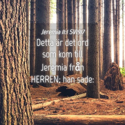 Picture 04 - Jeremia 11:1 SV1917 - Detta är det ord som kom till Jeremia från - Bible Verse Picture