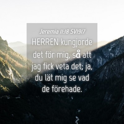 Picture 04 - Jeremia 11:18 SV1917 - HERREN kungjorde det för mig, så att jag fick - Bible Verse Picture