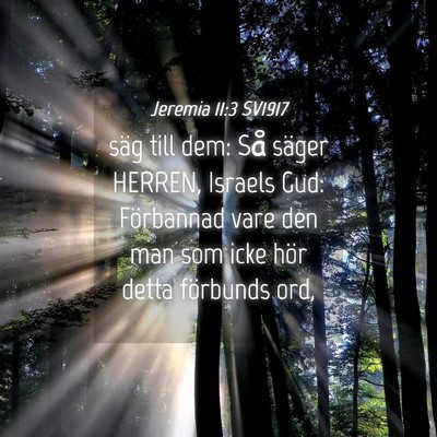 Picture 04 - Jeremia 11:3 SV1917 - säg till dem: Så säger HERREN, Israels Gud: - Bible Verse Picture