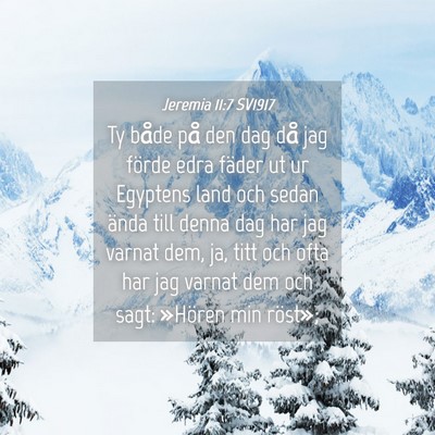 Picture 04 - Jeremia 11:7 SV1917 - Ty både på den dag då jag förde edra fäder - Bible Verse Picture