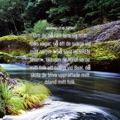 Picture 04 - Jeremia 12:16 SV1917 - Om de då rätt lära sig mitt folks vägar, så - Bible Verse Picture