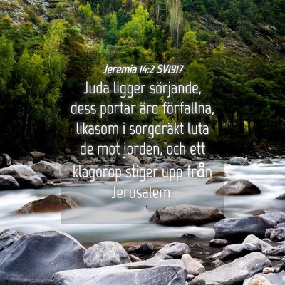 Picture 04 - Jeremia 14:2 SV1917 - Juda ligger sörjande, dess portar äro - Bible Verse Picture