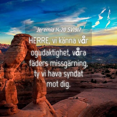 Picture 04 - Jeremia 14:20 SV1917 - HERRE, vi känna vår ogudaktighet, våra fäders - Bible Verse Picture