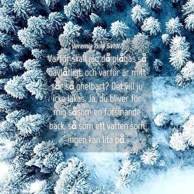 Picture 04 - Jeremia 15:18 SV1917 - Varför skall jag då plågas så oavlåtligt, - Bible Verse Picture
