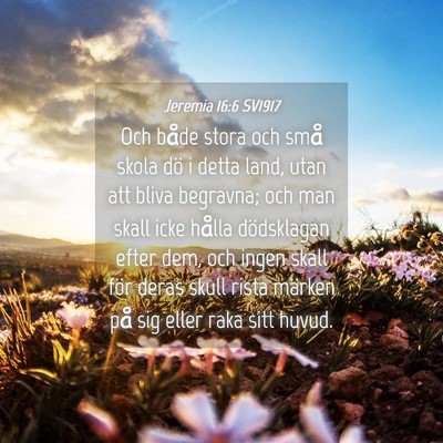 Picture 04 - Jeremia 16:6 SV1917 - Och både stora och små skola dö i detta land, - Bible Verse Picture