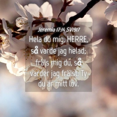 Picture 04 - Jeremia 17:14 SV1917 - Hela du mig, HERRE, så varde jag helad; fräls - Bible Verse Picture
