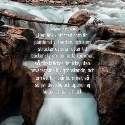 Picture 04 - Jeremia 17:8 SV1917 - Han är lik ett träd som är planterat vid - Bible Verse Picture