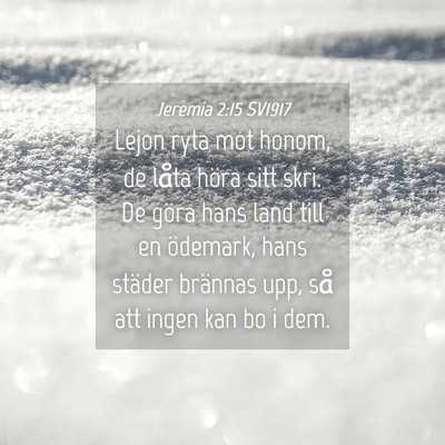 Picture 04 - Jeremia 2:15 SV1917 - Lejon ryta mot honom, de låta höra sitt skri. - Bible Verse Picture