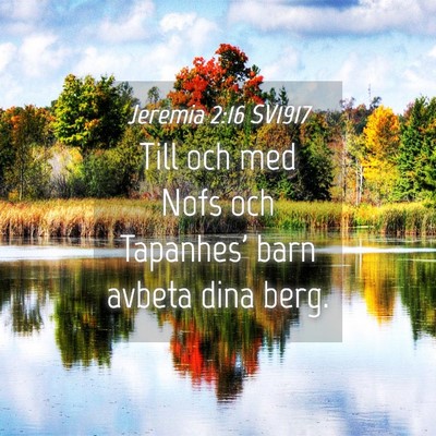 Picture 04 - Jeremia 2:16 SV1917 - Till och med Nofs och Tapanhes' barn avbeta dina - Bible Verse Picture