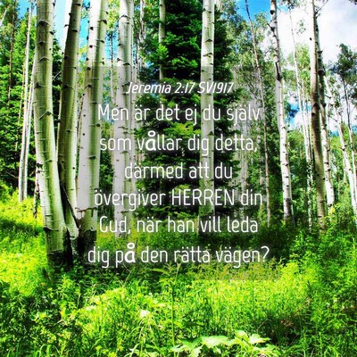 Picture 04 - Jeremia 2:17 SV1917 - Men är det ej du själv som vållar dig detta, - Bible Verse Picture