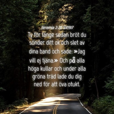 Picture 04 - Jeremia 2:20 SV1917 - Ty för länge sedan bröt du sönder ditt ok och - Bible Verse Picture