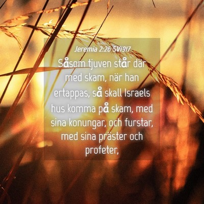 Picture 04 - Jeremia 2:26 SV1917 - Såsom tjuven står där med skam, när han - Bible Verse Picture