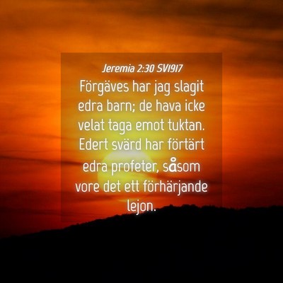Picture 04 - Jeremia 2:30 SV1917 - Förgäves har jag slagit edra barn; de hava icke - Bible Verse Picture
