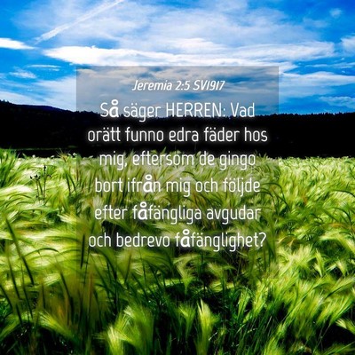 Picture 04 - Jeremia 2:5 SV1917 - Så säger HERREN: Vad orätt funno edra fäder - Bible Verse Picture