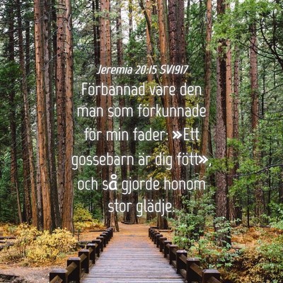 Picture 04 - Jeremia 20:15 SV1917 - Förbannad vare den man som förkunnade för min - Bible Verse Picture