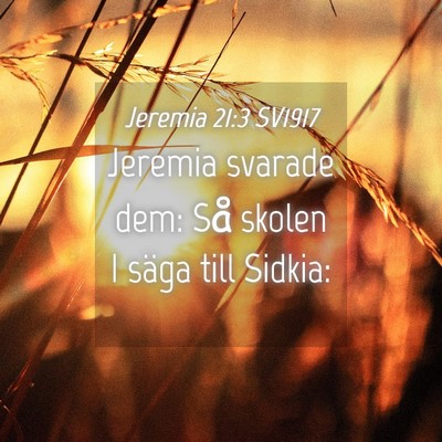 Picture 04 - Jeremia 21:3 SV1917 - Jeremia svarade dem: Så skolen I säga till - Bible Verse Picture