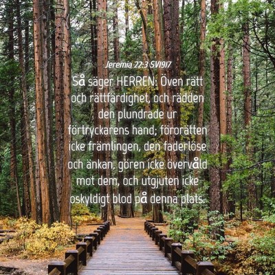 Picture 04 - Jeremia 22:3 SV1917 - Så säger HERREN: Öven rätt och - Bible Verse Picture