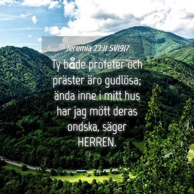 Picture 04 - Jeremia 23:11 SV1917 - Ty både profeter och präster äro gudlösa; - Bible Verse Picture