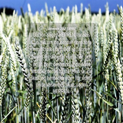 Picture 04 - Jeremia 23:2 SV1917 - Därför säger HERREN, Israels Gud, så om de - Bible Verse Picture