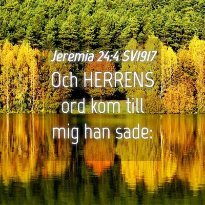 Picture 04 - Jeremia 24:4 SV1917 - Och HERRENS ord kom till mig han - Bible Verse Picture