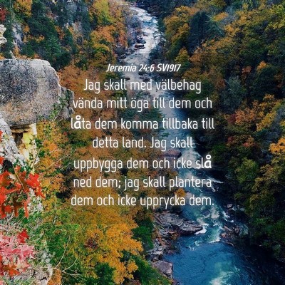 Picture 04 - Jeremia 24:6 SV1917 - Jag skall med välbehag vända mitt öga till dem - Bible Verse Picture