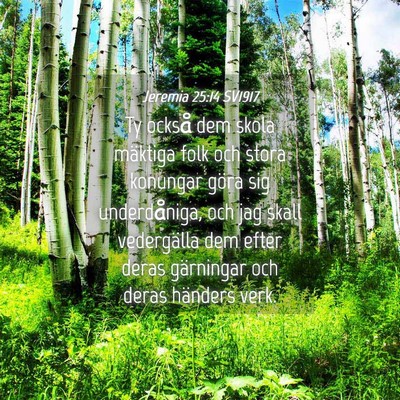 Picture 04 - Jeremia 25:14 SV1917 - Ty också dem skola mäktiga folk och stora - Bible Verse Picture