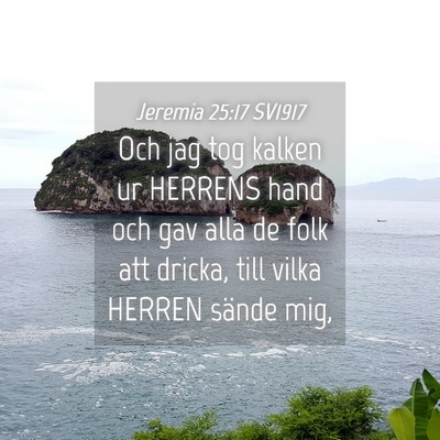 Picture 04 - Jeremia 25:17 SV1917 - Och jag tog kalken ur HERRENS hand och gav alla - Bible Verse Picture