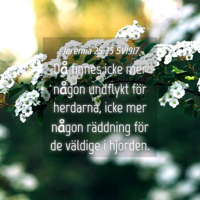 Picture 04 - Jeremia 25:35 SV1917 - Då finnes icke mer någon undflykt för - Bible Verse Picture