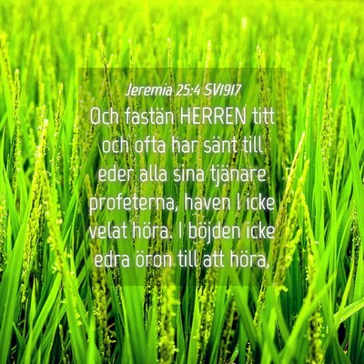 Picture 04 - Jeremia 25:4 SV1917 - Och fastän HERREN titt och ofta har sänt till - Bible Verse Picture