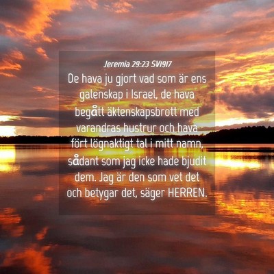 Picture 04 - Jeremia 29:23 SV1917 - De hava ju gjort vad som är ens galenskap i - Bible Verse Picture