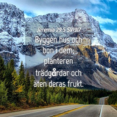 Picture 04 - Jeremia 29:5 SV1917 - Byggen hus och bon i dem; planteren trädgårdar - Bible Verse Picture