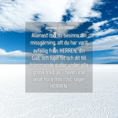 Picture 04 - Jeremia 3:13 SV1917 - Allenast må du besinna din missgärning, att du - Bible Verse Picture