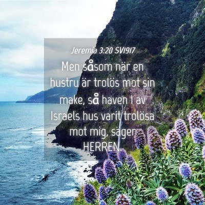 Picture 04 - Jeremia 3:20 SV1917 - Men såsom när en hustru är trolös mot sin - Bible Verse Picture