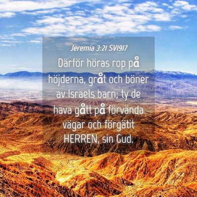 Picture 04 - Jeremia 3:21 SV1917 - Därför höras rop på höjderna, gråt och - Bible Verse Picture
