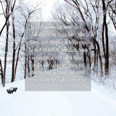 Picture 04 - Jeremia 3:25 SV1917 - Så vilja vi nu ligga här i vår skam, och blygd - Bible Verse Picture