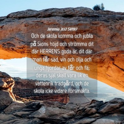 Picture 04 - Jeremia 31:12 SV1917 - Och de skola komma och jubla på Sions höjd och - Bible Verse Picture