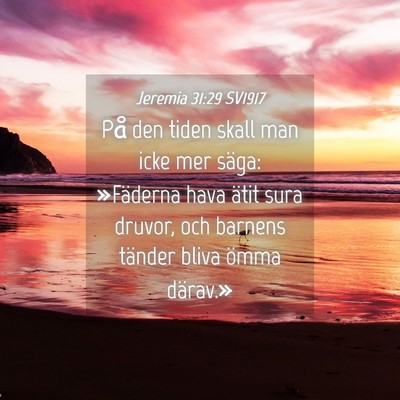 Picture 04 - Jeremia 31:29 SV1917 - På den tiden skall man icke mer säga: - Bible Verse Picture