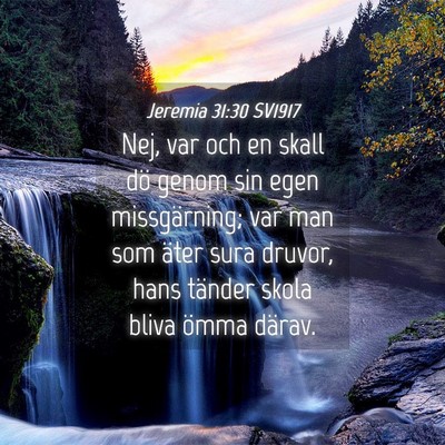 Picture 04 - Jeremia 31:30 SV1917 - Nej, var och en skall dö genom sin egen - Bible Verse Picture