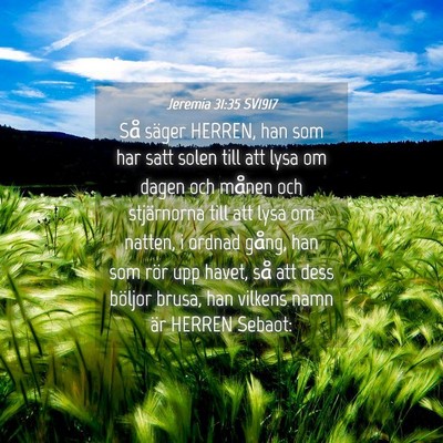 Picture 04 - Jeremia 31:35 SV1917 - Så säger HERREN, han som har satt solen till - Bible Verse Picture