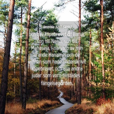 Picture 04 - Jeremia 32:12 SV1917 - och gav köpebrevet åt Baruk, son till Neria, - Bible Verse Picture