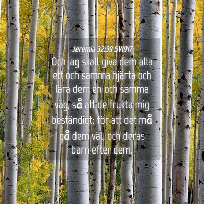 Picture 04 - Jeremia 32:39 SV1917 - Och jag skall giva dem alla ett och samma hjärta - Bible Verse Picture