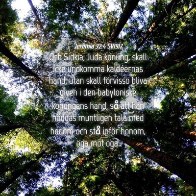 Picture 04 - Jeremia 32:4 SV1917 - Och Sidkia, Juda konung, skall icke undkomma - Bible Verse Picture