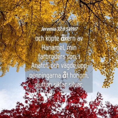 Picture 04 - Jeremia 32:9 SV1917 - och köpte åkern av Hanamel, min farbroders son, - Bible Verse Picture