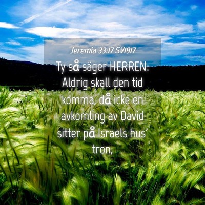 Picture 04 - Jeremia 33:17 SV1917 - Ty så säger HERREN: Aldrig skall den tid komma, - Bible Verse Picture