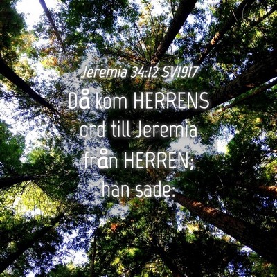 Picture 04 - Jeremia 34:12 SV1917 - Då kom HERRENS ord till Jeremia från HERREN; - Bible Verse Picture