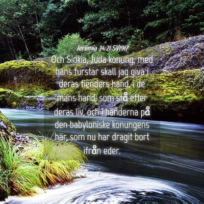 Picture 04 - Jeremia 34:21 SV1917 - Och Sidkia, Juda konung, med hans furstar skall - Bible Verse Picture
